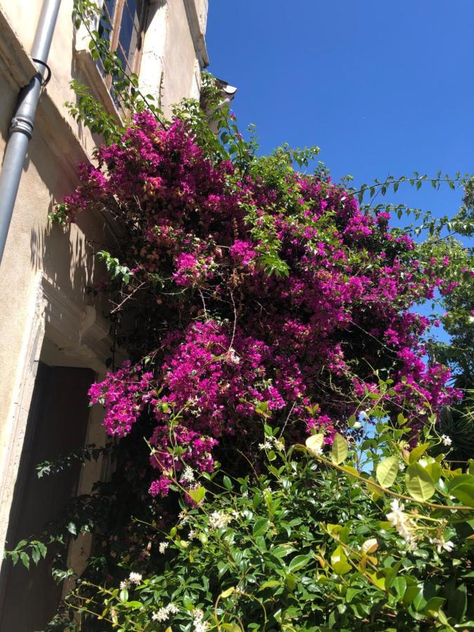 L' Ilot Des Iles Bed & Breakfast Cuxac-dʼAude Eksteriør bilde